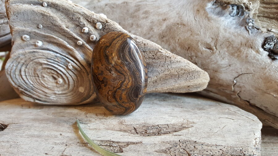 Stromatolīta kulons "Jaudīgais" nr 2. Izmērs 4.5 x 3 cm Gaiši zaļa bantīte  Ar dabīgām švīkām un iedobumiem