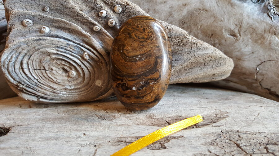 Stromatolīta kulons "Jaudīgais" nr 3. Izmērs 4....5 x 3 cm Dzeltena bantīte Ar dabīgām švīkām un iedobumiem