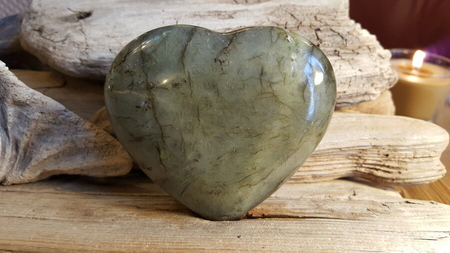 Liela labradora sirds "Emocionālais atbalsts" Izmērs 8.5 x 7.5 cm