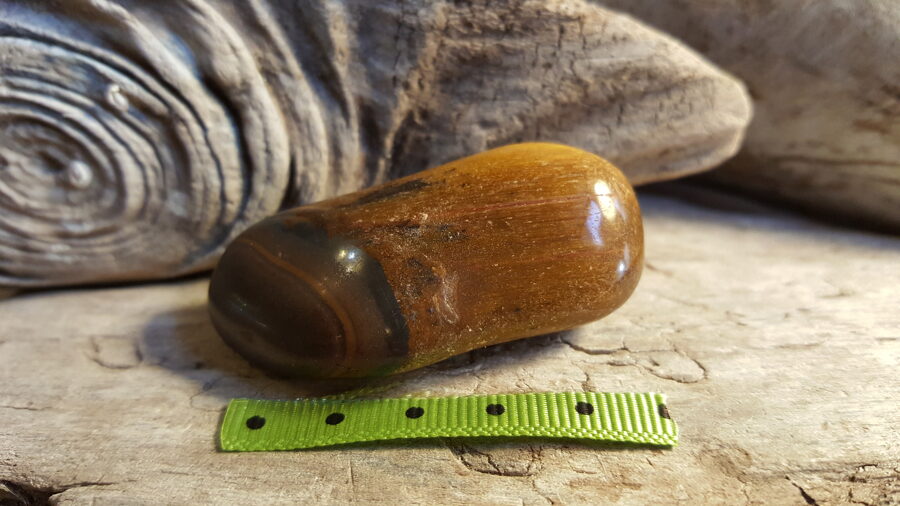 Tīģeracs olis "Skaistais" nr 3. Izmērs 5 x 3 cm Zaļi pumpaina bantīte Ar dabīgiem iespiedumiem