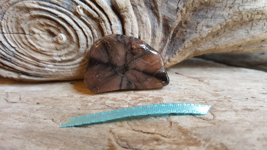 Plakani hiastolīta olīši "Stiprā aizmugure" nr 6. Izmērs 2.7 x 2 x 0.5 cm Zila bantīte