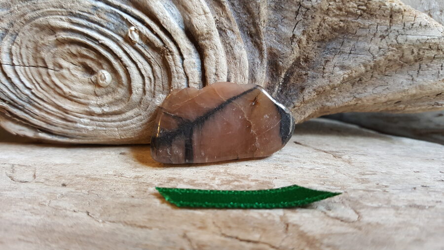 Plakani hiastolīta olīši "Stiprā aizmugure" nr 7. Izmērs 3 x 1.7 x 0.5 cm Zaļa bantīte