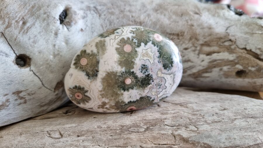 Ekstra klases balts olis "Mīlestības puķe" Izmērs 6 x 4.5 x 2 cm No Madagaskaras