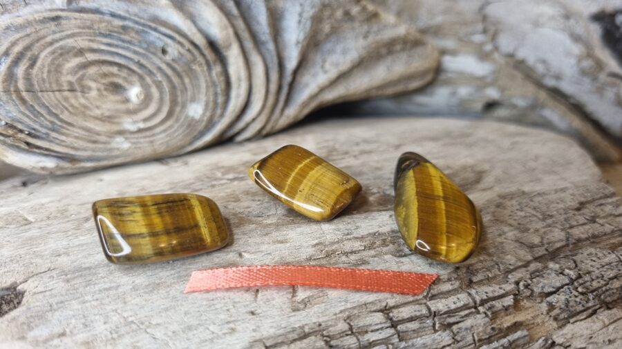 Tīģeracs komplekts nr 2. Izmēri 3 x 1.5 cm 2 x 1.5 cm 2 x 1.5 cm Oranža bantīte