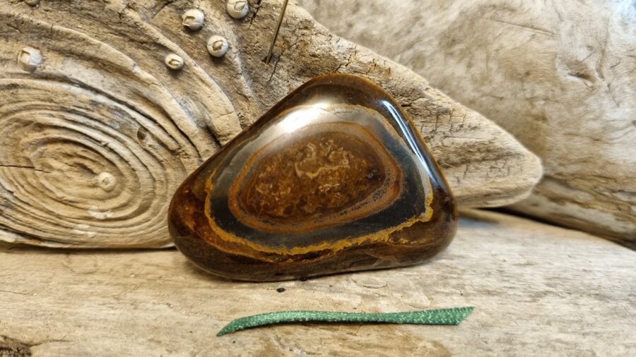 Liela masāžas tīģeracs nr 3. Izmērs 5.5 x 4.8 x 1 cm Zaļa bantīte