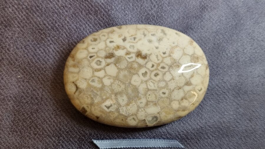 Koraļļu masāžas akmens "Harmonija dienas garumā" nr 1. Izmērs 7 x 5 cm Gaiši zila bantīte