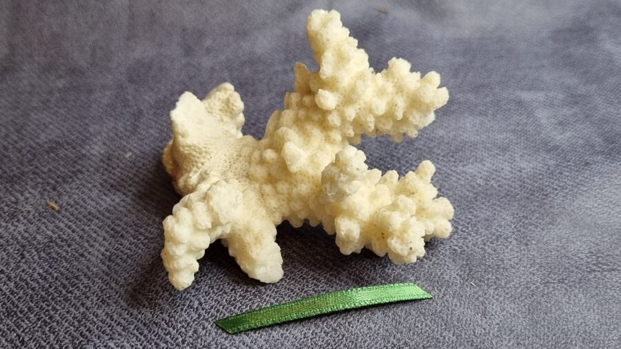 Balts korallis "Mājas mieram un saticībai" nr 1. Izmērs 6 x 6 x 4 cm Zaļa bantīte