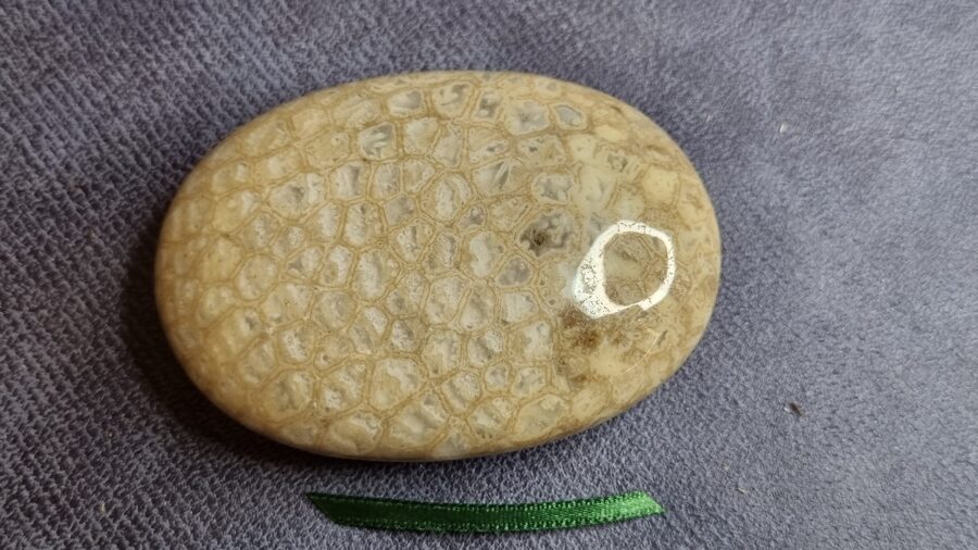 Koraļļu masāžas akmens "Harmonija dienas garumā" nr 2. Izmērs 7 x 5 cm Zaļa bantīte