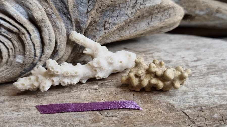 Balts korallis "Mājas mieram un saticībai" nr 7. Izmērs 5 x 2 x 1 cm un 2.5 x 1 cm Lillā bantīte