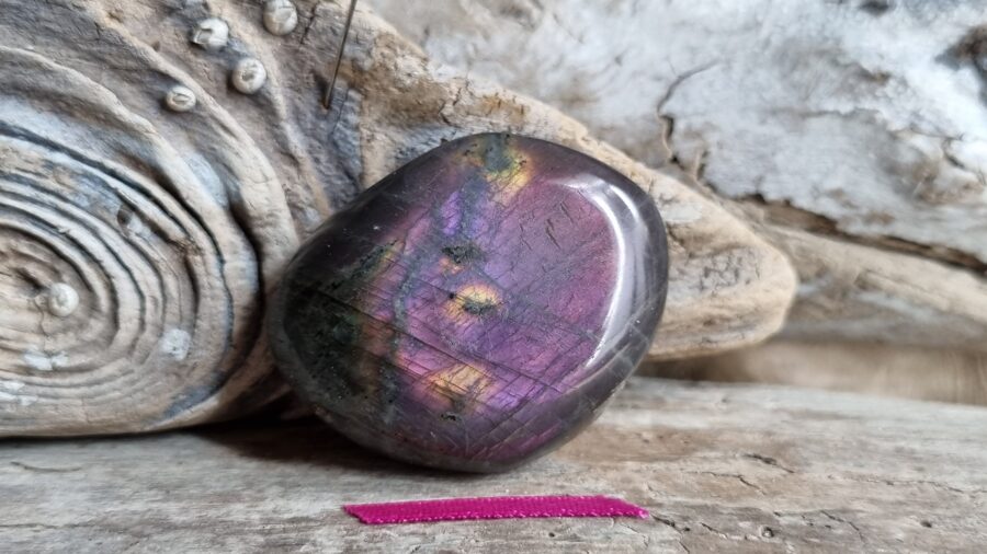 Labradora olis "Drošībai mašīnā" nr 1. Izmērs 4.5 x 3.3 cm Madagaskara Sārta bantīte