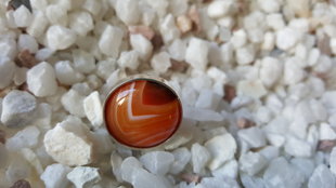 Aunu pārticības akmens - Karneola gredzens Nr.1. Izmērs 19.5. Karneols 2cm. Sudraba krāsas ietvars..